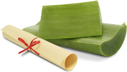 aloe vera Certifications